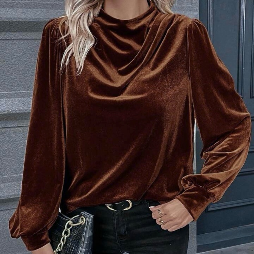 SHEIN velvet blouse - Picture 2 of 5